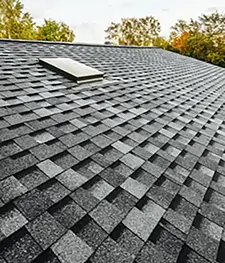 Black asphalt roof shingles installed on a sloped rooftop with a skylight, surrounded by trees - Asia Jaya Sepadu.